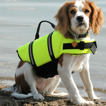 Outdoor Pet Accessories