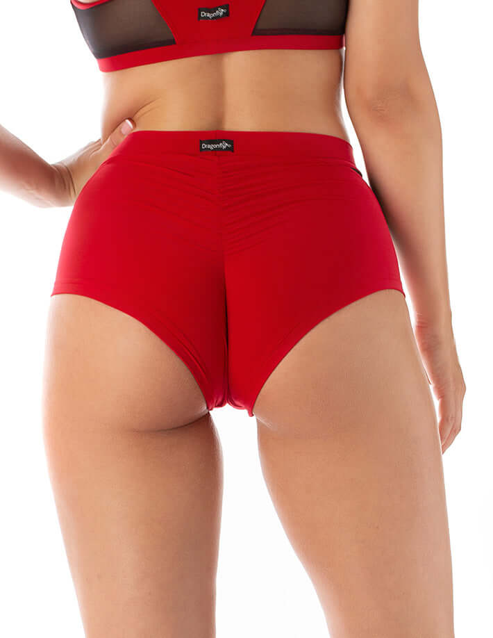 Dragonfly-High Waist Mesh Pole Shorts – Monica